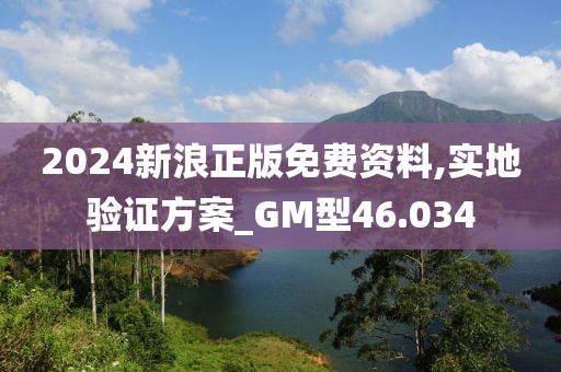 2024新浪正版免费资料,实地验证方案_GM型46.034