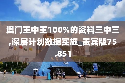 澳门王中王100%的资料三中三,深层计划数据实施_贵宾版75.851