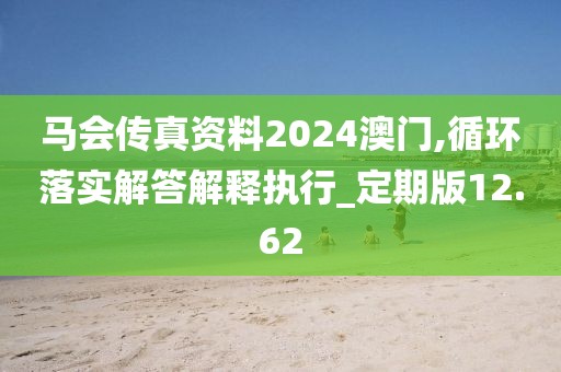 马会传真资料2024澳门,循环落实解答解释执行_定期版12.62