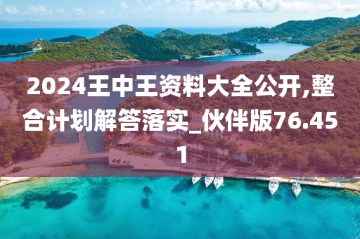 2024王中王资料大全公开,整合计划解答落实_伙伴版76.451