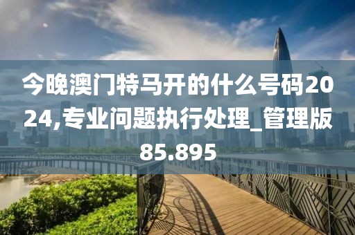 今晚澳门特马开的什么号码2024,专业问题执行处理_管理版85.895
