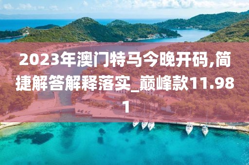 2023年澳门特马今晚开码,简捷解答解释落实_巅峰款11.981