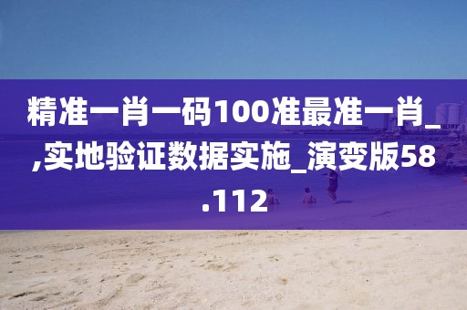 精准一肖一码100准最准一肖_,实地验证数据实施_演变版58.112