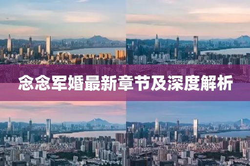 念念军婚最新章节及深度解析