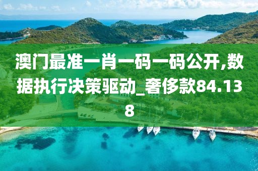 澳门最准一肖一码一码公开,数据执行决策驱动_奢侈款84.138