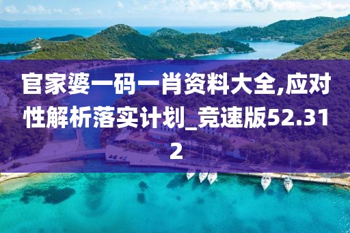 官家婆一码一肖资料大全,应对性解析落实计划_竞速版52.312