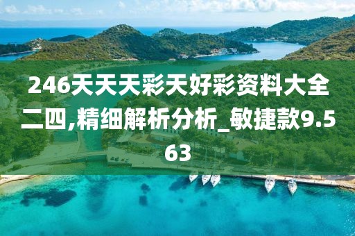 246天天天彩天好彩资料大全二四,精细解析分析_敏捷款9.563