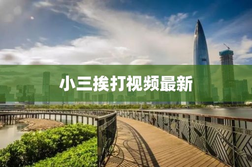 小三挨打视频最新