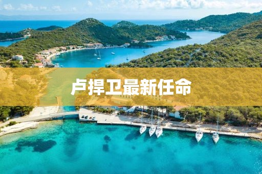 卢捍卫最新任命