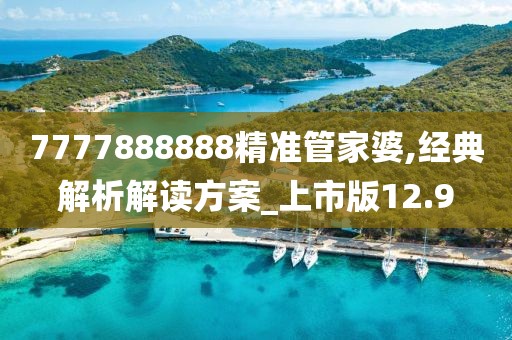 7777888888精准管家婆,经典解析解读方案_上市版12.9