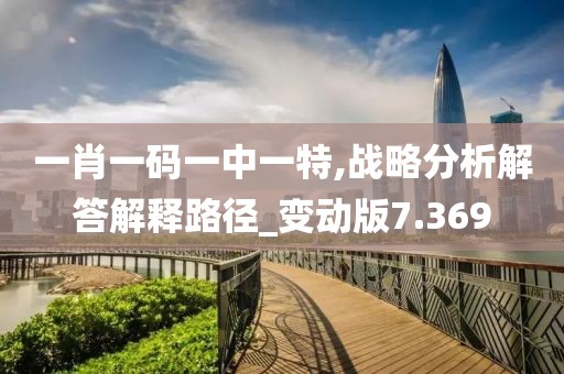 一肖一码一中一特,战略分析解答解释路径_变动版7.369
