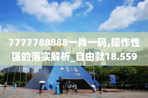7777788888一肖一码,操作性强的落实解析_自由款18.559