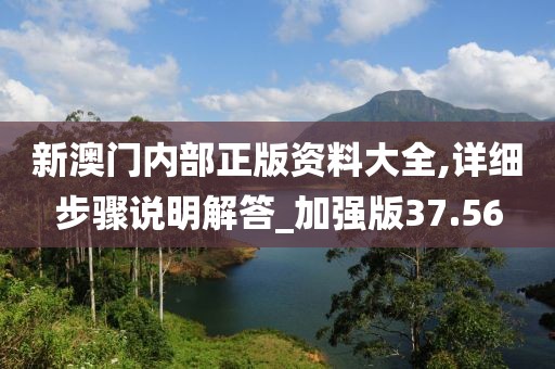 新澳门内部正版资料大全,详细步骤说明解答_加强版37.56