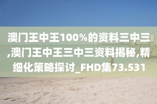 澳门王中王100%的资料三中三,澳门王中王三中三资料揭秘,精细化策略探讨_FHD集73.531