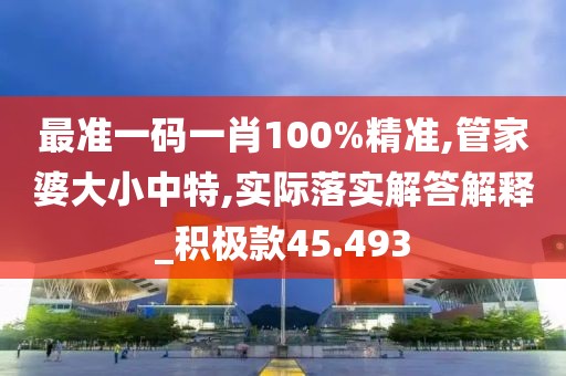 最准一码一肖100%精准,管家婆大小中特,实际落实解答解释_积极款45.493