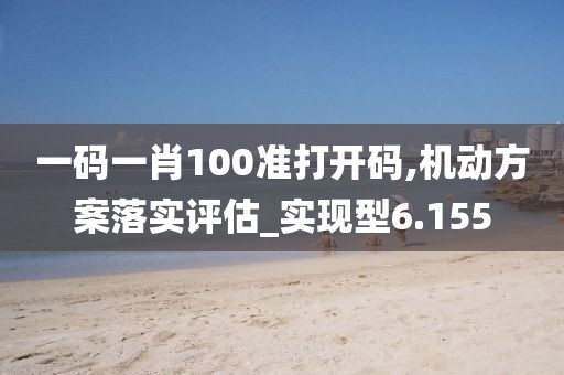 一码一肖100准打开码,机动方案落实评估_实现型6.155