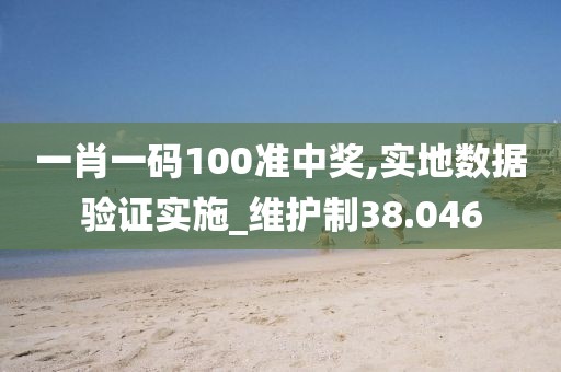 一肖一码100准中奖,实地数据验证实施_维护制38.046