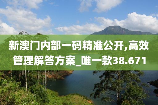 新澳门内部一码精准公开,高效管理解答方案_唯一款38.671