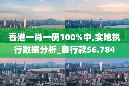香港一肖一码100%中,实地执行数据分析_自行款56.784