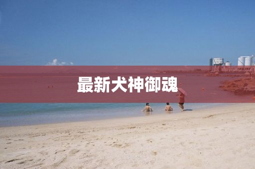 最新犬神御魂