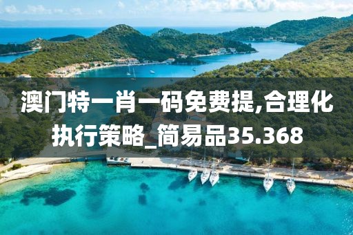 澳门特一肖一码免费提,合理化执行策略_简易品35.368