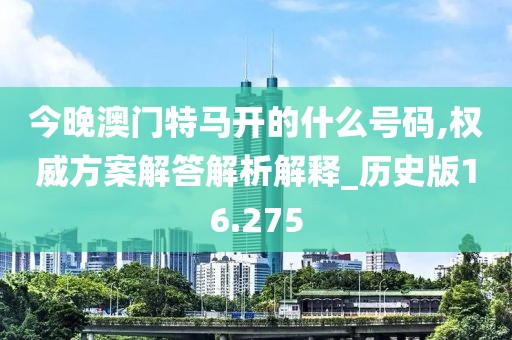 今晚澳门特马开的什么号码,权威方案解答解析解释_历史版16.275