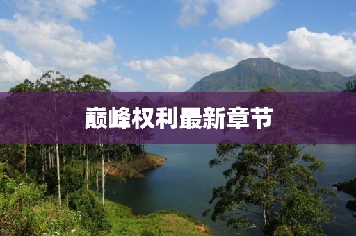 巅峰权利最新章节