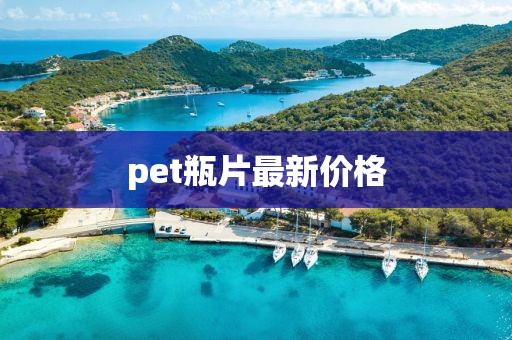 pet瓶片最新价格