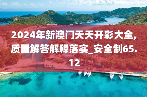 2024年新澳门天天开彩大全,质量解答解释落实_安全制65.12