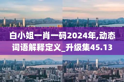白小姐一肖一码2024年,动态词语解释定义_升级集45.13