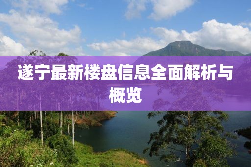 遂宁最新楼盘信息全面解析与概览