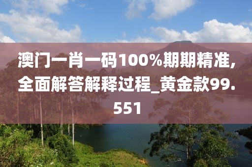澳门一肖一码100%期期精准,全面解答解释过程_黄金款99.551
