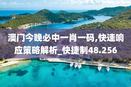 澳门今晚必中一肖一码,快速响应策略解析_快捷制48.256