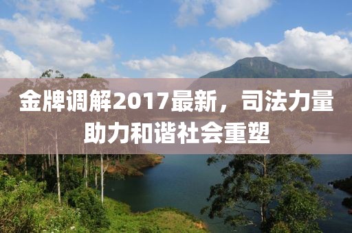 金牌调解2017最新，司法力量助力和谐社会重塑