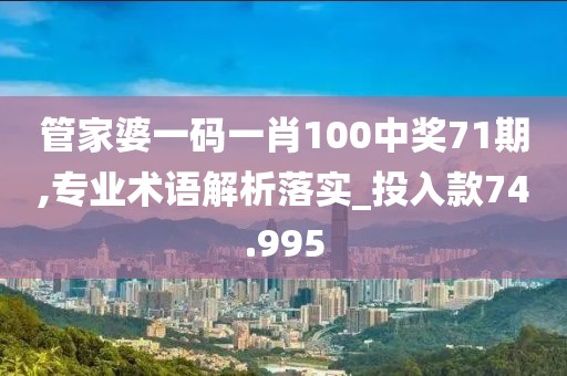 管家婆一码一肖100中奖71期,专业术语解析落实_投入款74.995
