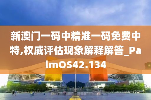 新澳门一码中精准一码免费中特,权威评估现象解释解答_PalmOS42.134