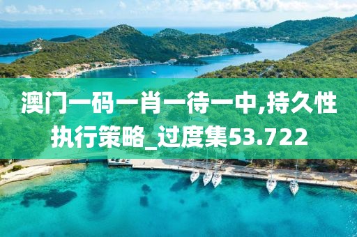 澳门一码一肖一待一中,持久性执行策略_过度集53.722