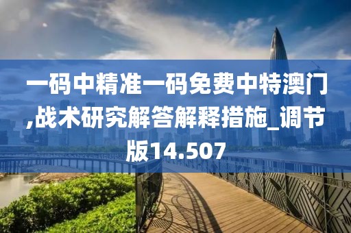 一码中精准一码免费中特澳门,战术研究解答解释措施_调节版14.507