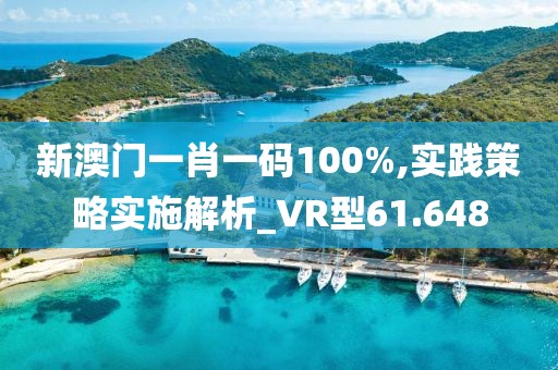 新澳门一肖一码100%,实践策略实施解析_VR型61.648