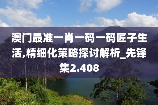 澳门最准一肖一码一码匠子生活,精细化策略探讨解析_先锋集2.408