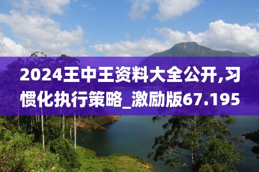 2024王中王资料大全公开,习惯化执行策略_激励版67.195
