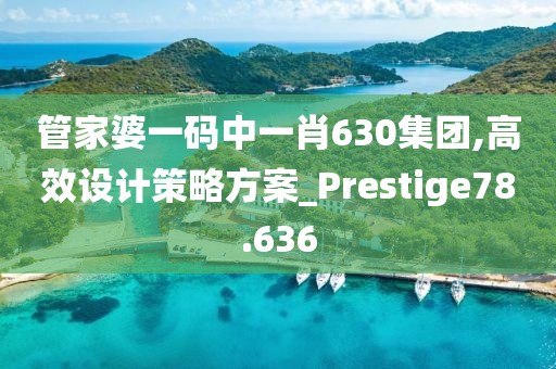 管家婆一码中一肖630集团,高效设计策略方案_Prestige78.636