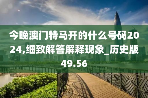 今晚澳门特马开的什么号码2024,细致解答解释现象_历史版49.56