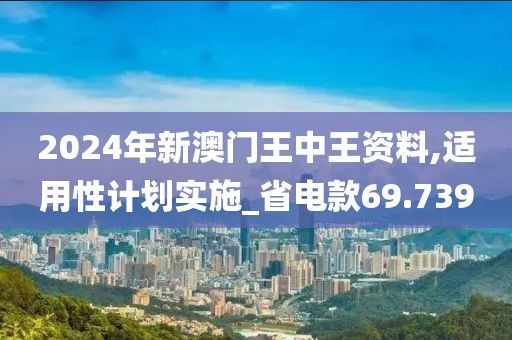 2024年新澳门王中王资料,适用性计划实施_省电款69.739
