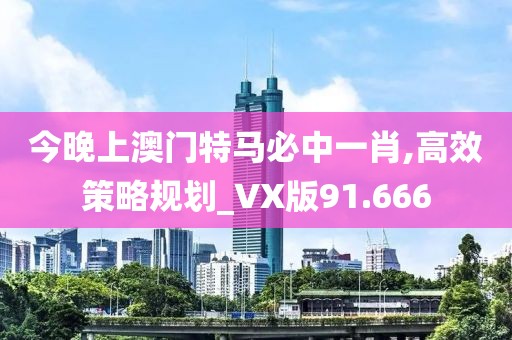今晚上澳门特马必中一肖,高效策略规划_VX版91.666