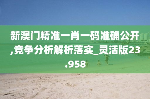 新澳门精准一肖一码准确公开,竞争分析解析落实_灵活版23.958