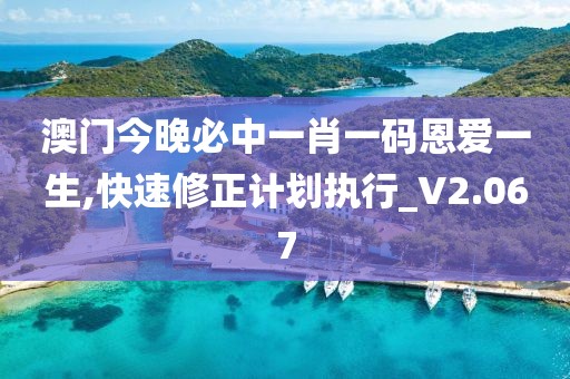 澳门今晚必中一肖一码恩爱一生,快速修正计划执行_V2.067