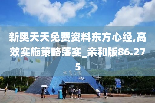 新奥天天免费资料东方心经,高效实施策略落实_亲和版86.275