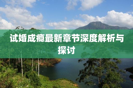 试婚成瘾最新章节深度解析与探讨