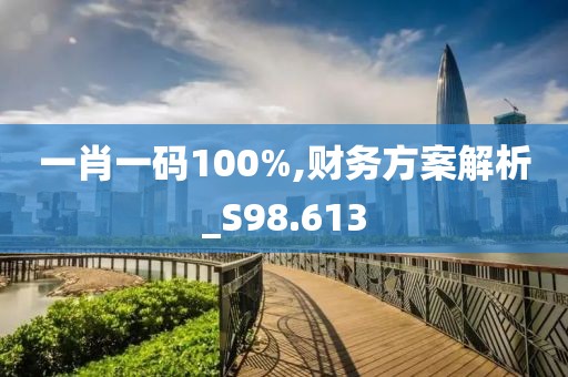 一肖一码100%,财务方案解析_S98.613